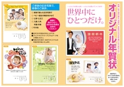平成27年　年賀状カタログ　(新生社印刷グループ)